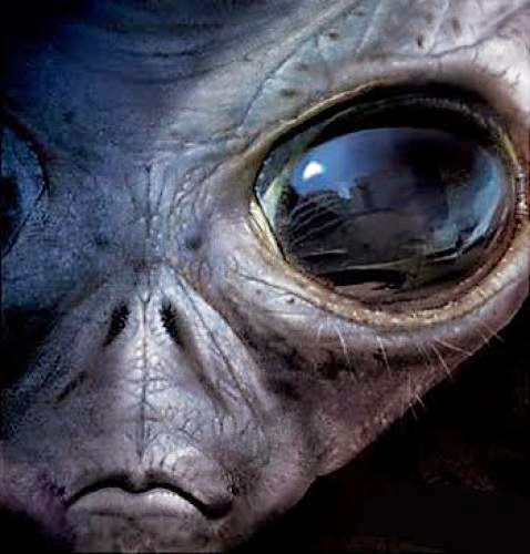 Habr Un Concierto Para Recibir A Los Extraterrestres California 10 De Junio De 2012