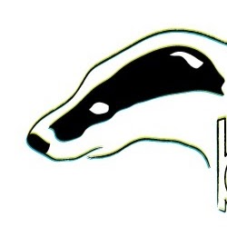 Badger Vocals logo