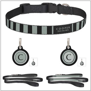 custom dog collar