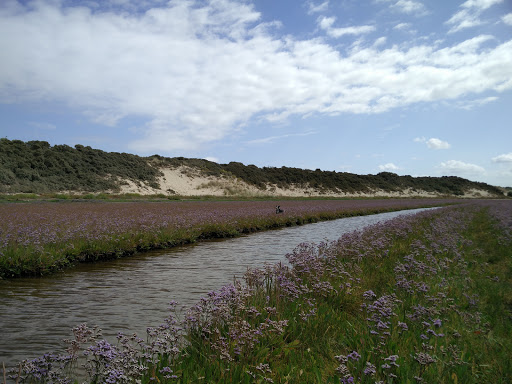 Baie d'Authie