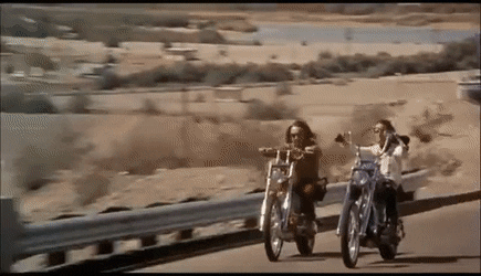 Image result for easy rider GIF