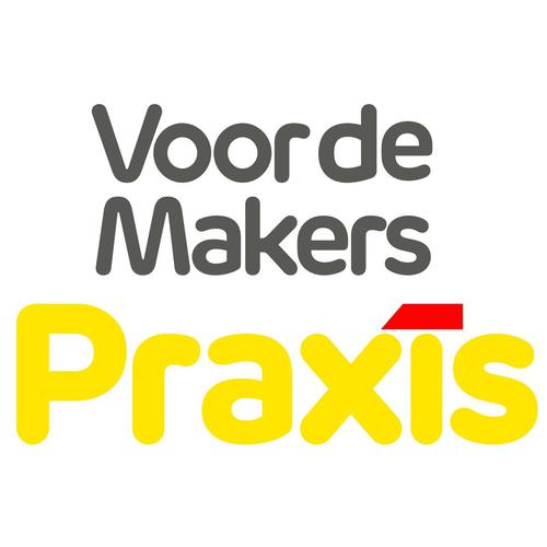 Praxis bouwmarkt Doetinchem logo