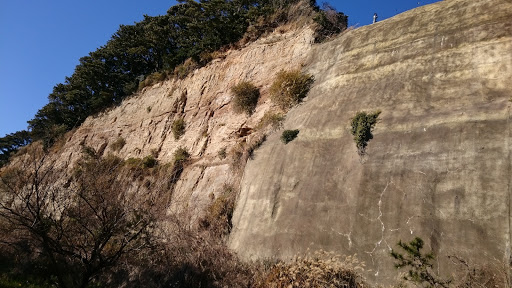 Honmoku City Park