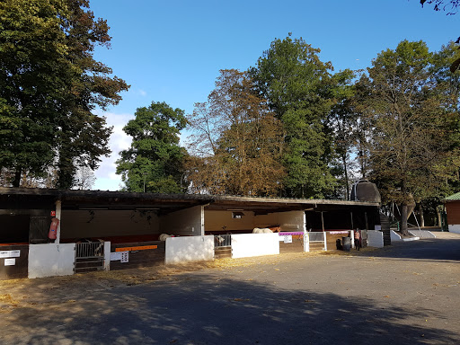 PONEY CLUB DE BRIMBORION
