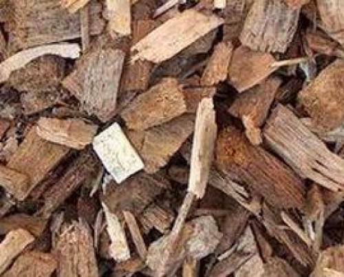 Biomass Is Carbon Neutral True Or Myth