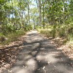 Sealed trail in the Blackbutt Reserve (401923)