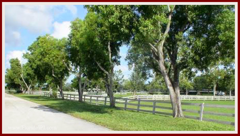Wellington Fl Southfields equestrian homes for sale Florida IPI International Properties and Investments