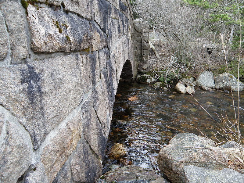 P4296200.JPG