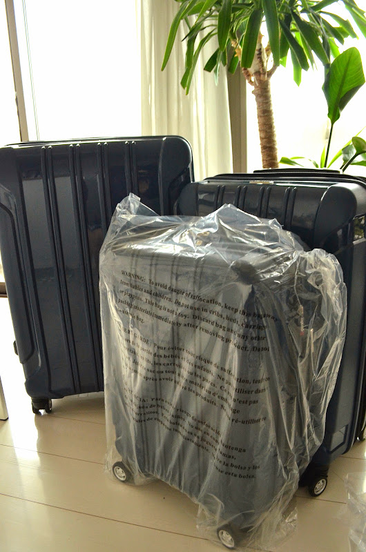 リカルド　スーツケース