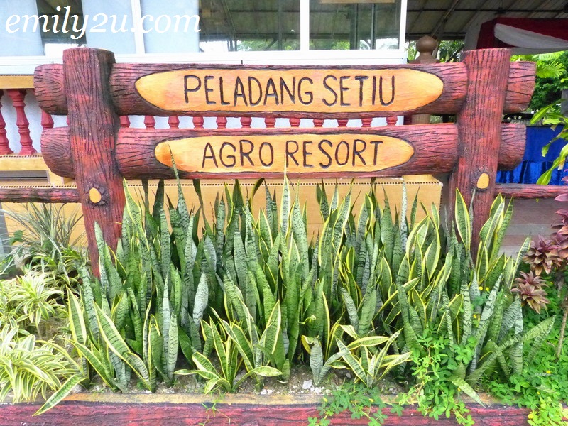 Peladang Setiu Agro Resort, Terengganu