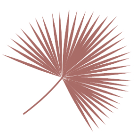 Palms Salon logo