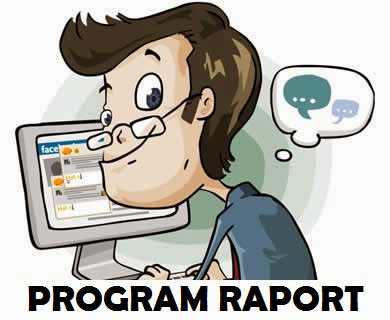 Program Raport
