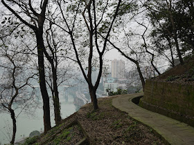 Path through trees on the side of a hill in Chongqing