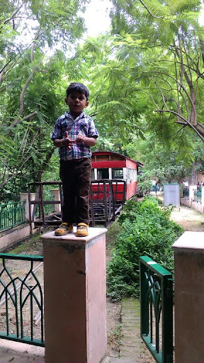 Greenland Public School, Fims College Road, Vijayant Khand, Lucknow, Uttar Pradesh 226010, India, State_School, state UP
