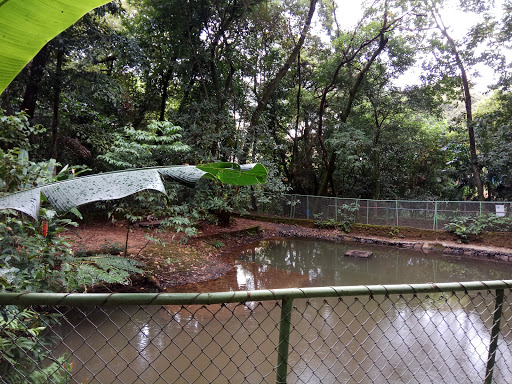 Parque do Jacarandá, R. João Luís Alvarenga, 546 - Jardim Sao Bento, Uberaba - MG, 38066-200, Brasil, Atração_Turística, estado Minas Gerais