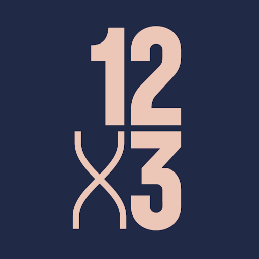 12x3 Boxing logo