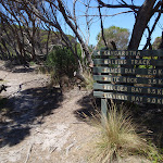 Kangarutha Track sign above Wallagoot Gap (104524)