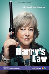 Harrys Law 2x16 Sub Español Online