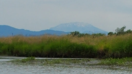 Canoe & Kayak Rental Service «Scappoose Bay Paddling Center», reviews and photos, 57420 Old Portland Rd, Warren, OR 97053, USA