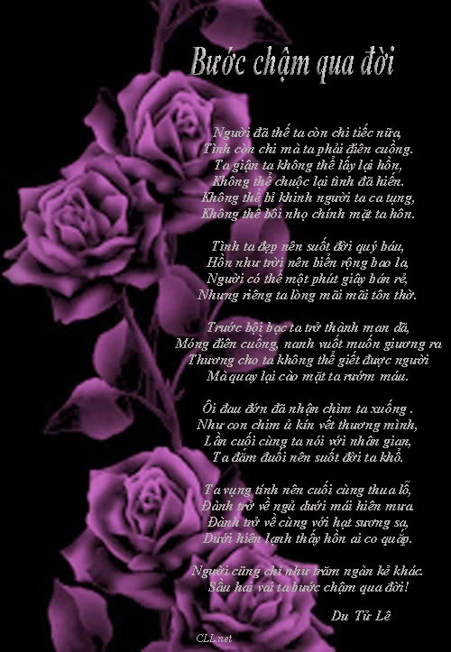 purple-roses-petals-rose.jpg