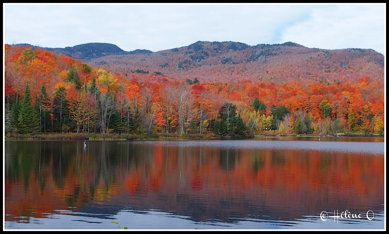 Paysages d'automne au Québec PA058119