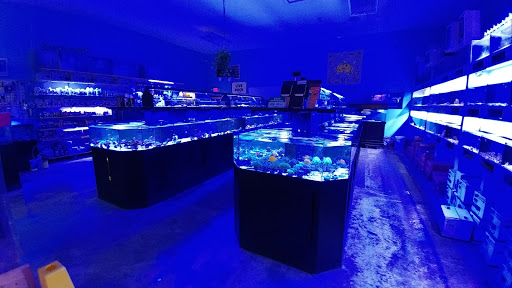 Tropical Fish Store «Marine Solutions», reviews and photos, 20 Triad S Dr, St Charles, MO 63304, USA