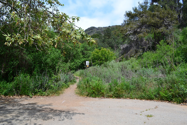 trail at the end of the road