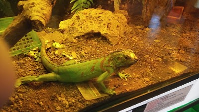 Photos of A living museum of Malinalco, Malinalco Critters
