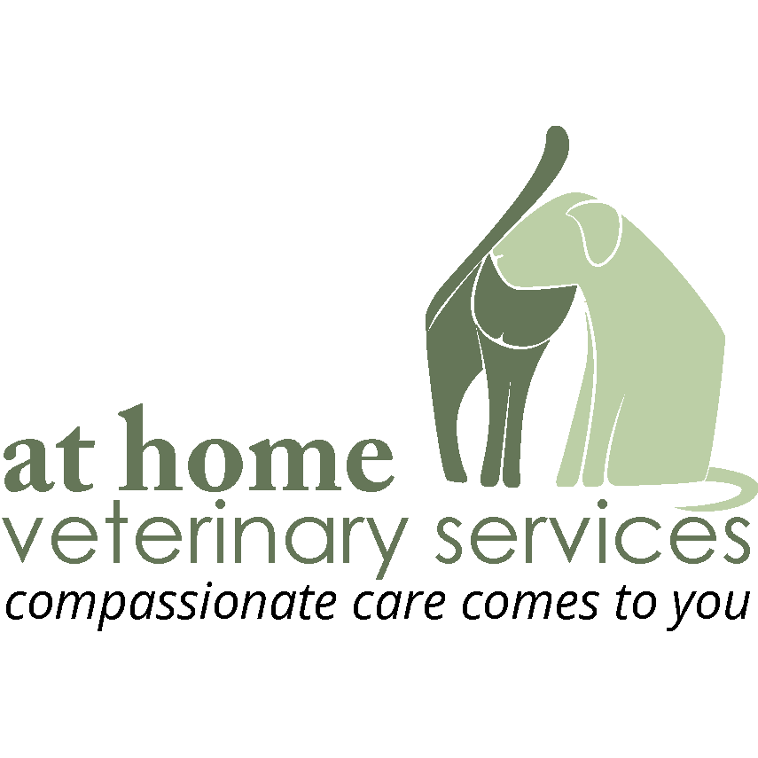 Ok vet. Veterinary service. Care vet logo. Vet House. Vet Clinic logo.