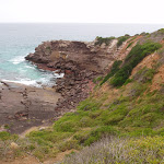 View from track to Haycock Point (108325)