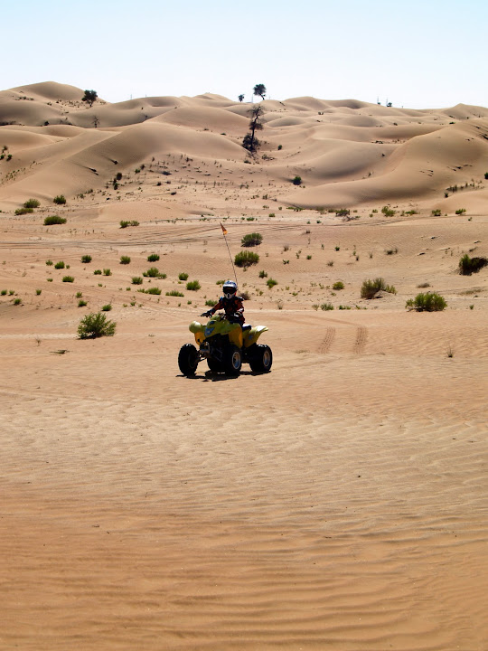 The Suzuki Quadrunner 250 comfortably negotiates sand dunes.