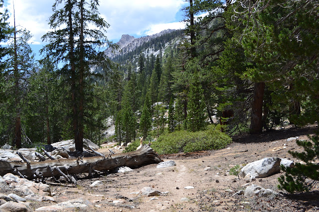 climbing up Soda Creek