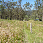 Congewai Valley Trail on The Great North Walk (362021)