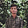 himank gupta's user avatar