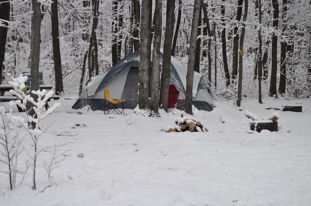 DSC_0049.JPG