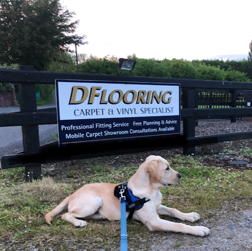 DFlooring Carpet,Vinyl,Wood Specialist