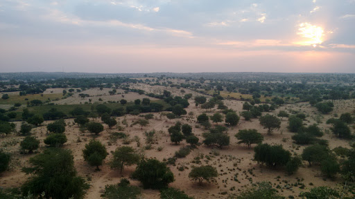 Thar Desert