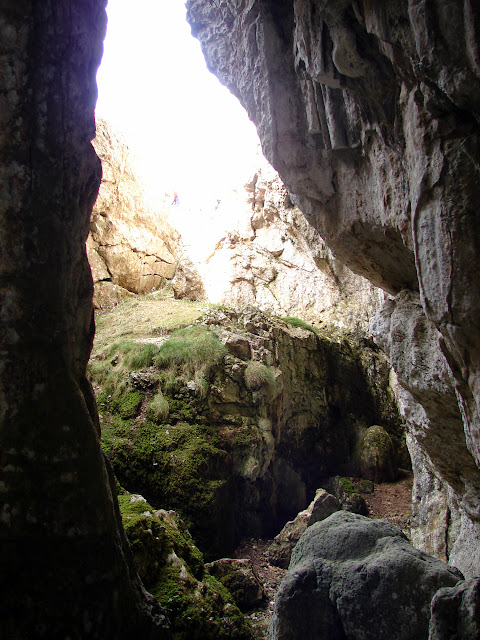 Senderismo - Puntasa - Cascadas - Cuevas y Árboles