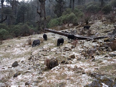 Photos of Kanchanjunga Conservation Area