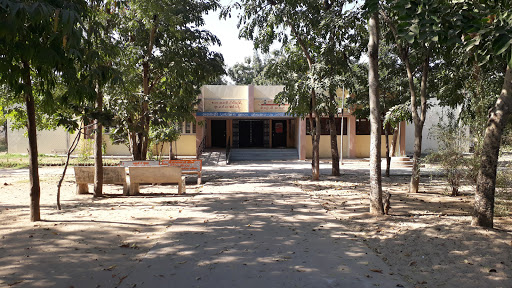 Government School, 1478/1, G Rd, Sector 3/C, Sector 3, Gandhinagar, Gujarat 382006, India, Government_School, state GJ