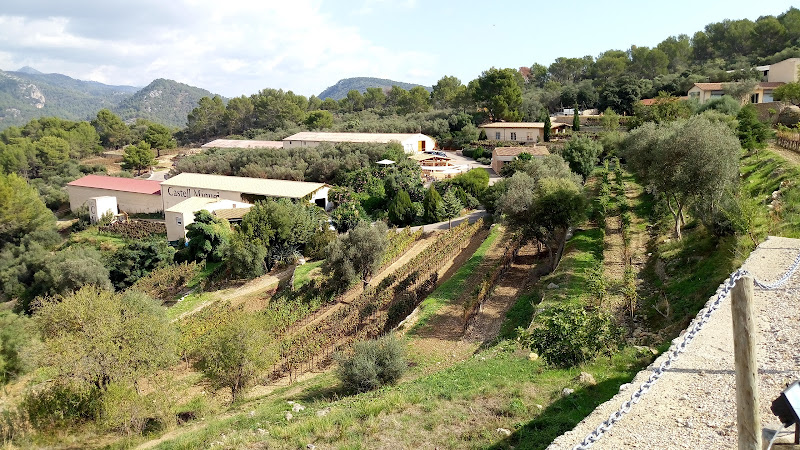 Main image of Bodegues Castell Miquel