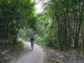 woman riding a bicycle on a narrow paved path through bamboo and trees