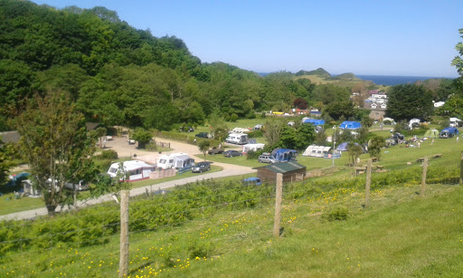 Camping 