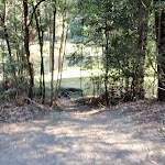 Short track leading to Willow Tree picnic area (172692)