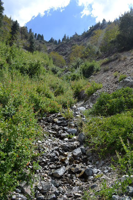 water coming down the steep slope