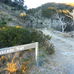 Cascade Trail track head (280337)