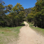 Old Road in Chaselings Run valley (167258)