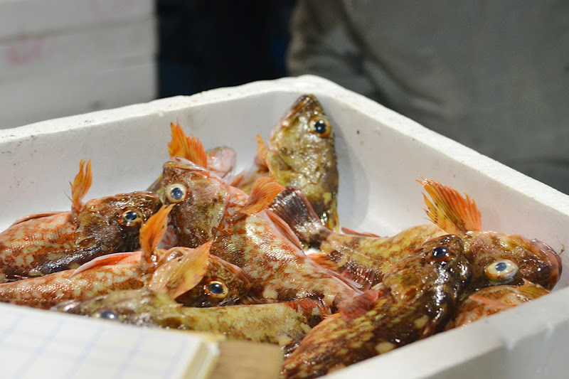 瀬戸内の鮮魚移動販売「魚の川越」