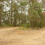 Intersection to Gap Creek viewpoint and Monkey Face viewpoint in the Watagans (323045)