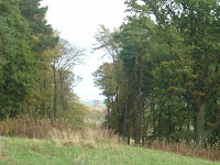 The Cage, Lyme Hall